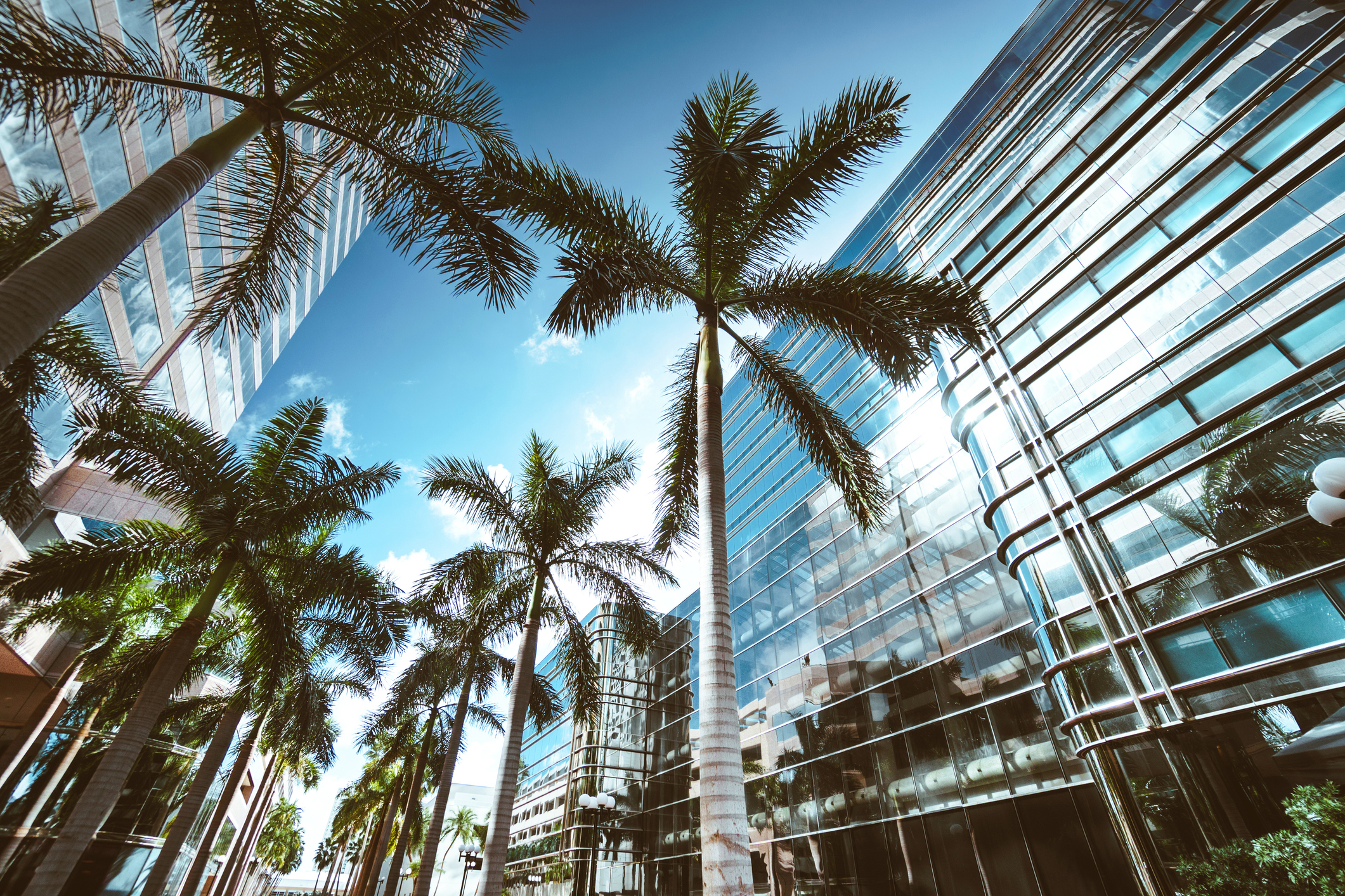 Florida Commercial Building