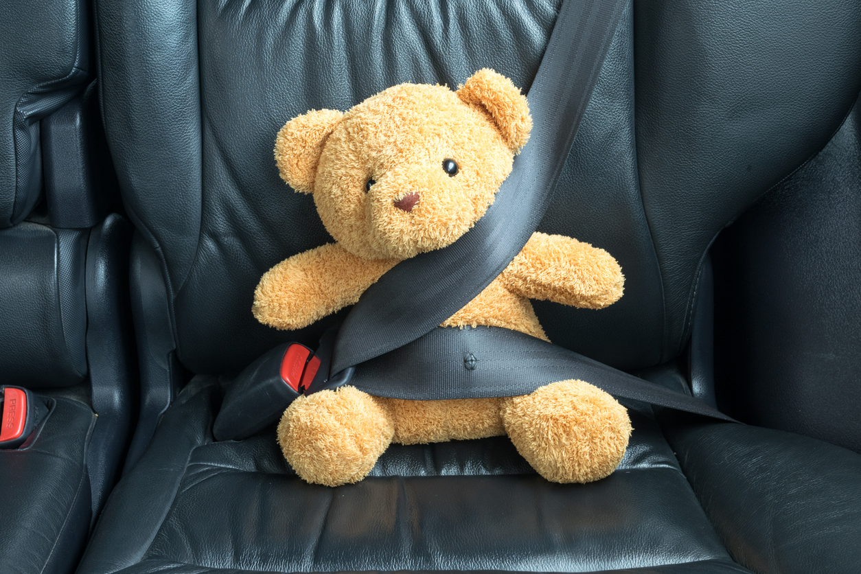 Teddy bear with seatbelt on.