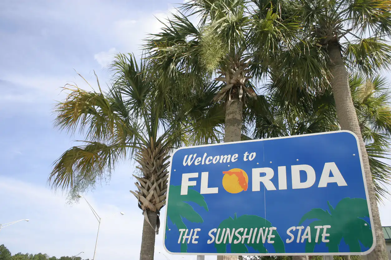 Tropical Scene welcoming you to the state of Florida.
